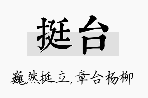 挺台名字的寓意及含义