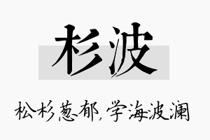 杉波名字的寓意及含义