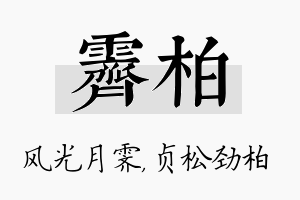 霁柏名字的寓意及含义