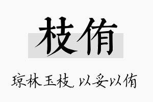 枝侑名字的寓意及含义