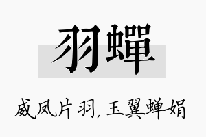 羽蝉名字的寓意及含义