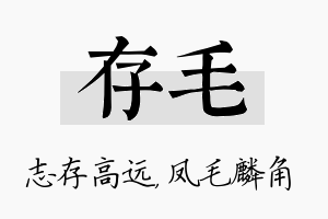 存毛名字的寓意及含义