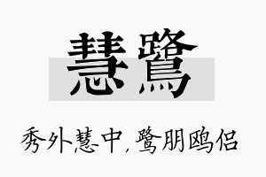 慧鹭名字的寓意及含义