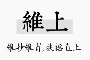 维上名字的寓意及含义