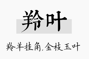 羚叶名字的寓意及含义