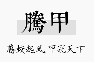 腾甲名字的寓意及含义