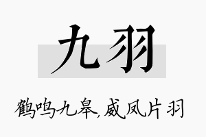 九羽名字的寓意及含义