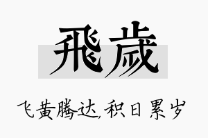 飞岁名字的寓意及含义