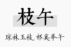 枝午名字的寓意及含义