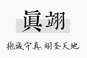 真翊名字的寓意及含义