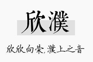 欣濮名字的寓意及含义