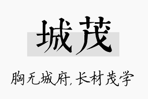 城茂名字的寓意及含义