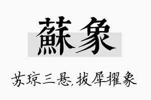 苏象名字的寓意及含义