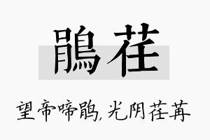 鹃荏名字的寓意及含义