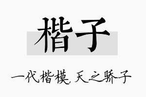 楷子名字的寓意及含义