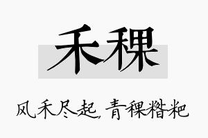 禾稞名字的寓意及含义