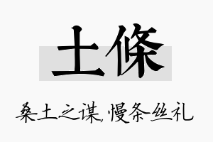 土条名字的寓意及含义