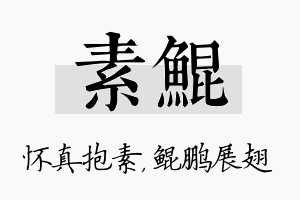 素鲲名字的寓意及含义