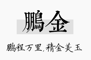 鹏金名字的寓意及含义