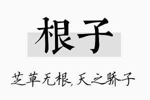 根子名字的寓意及含义