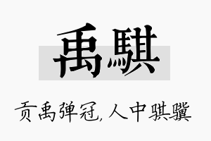 禹骐名字的寓意及含义