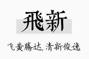 飞新名字的寓意及含义