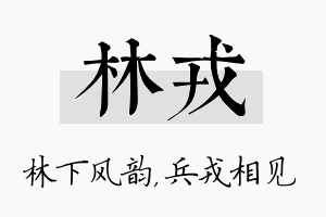 林戎名字的寓意及含义