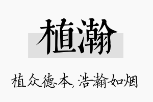 植瀚名字的寓意及含义