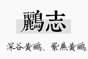 鹂志名字的寓意及含义