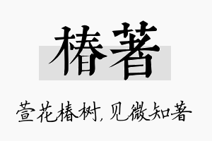 椿著名字的寓意及含义