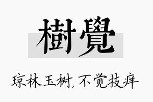 树觉名字的寓意及含义