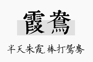 霞鸯名字的寓意及含义