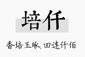 培仟名字的寓意及含义