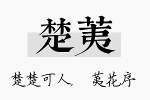 楚荑名字的寓意及含义