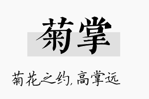 菊掌名字的寓意及含义