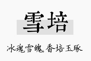 雪培名字的寓意及含义