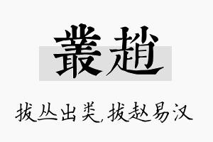 丛赵名字的寓意及含义