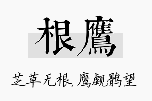 根鹰名字的寓意及含义