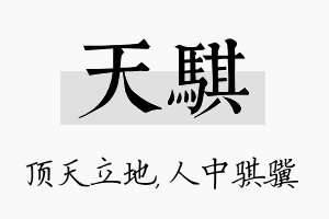 天骐名字的寓意及含义