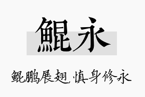 鲲永名字的寓意及含义