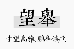 望举名字的寓意及含义