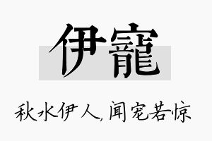 伊宠名字的寓意及含义