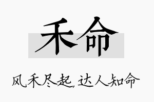 禾命名字的寓意及含义