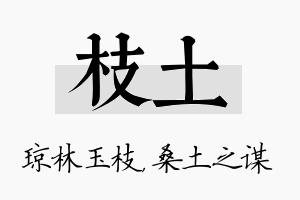 枝土名字的寓意及含义