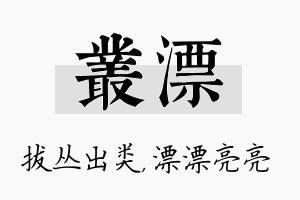 丛漂名字的寓意及含义