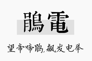 鹃电名字的寓意及含义