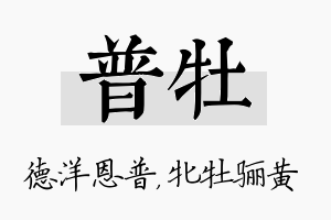 普牡名字的寓意及含义