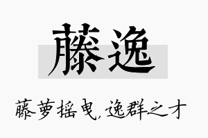 藤逸名字的寓意及含义