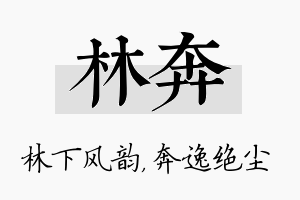 林奔名字的寓意及含义