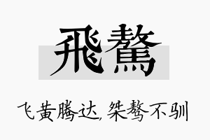 飞骜名字的寓意及含义